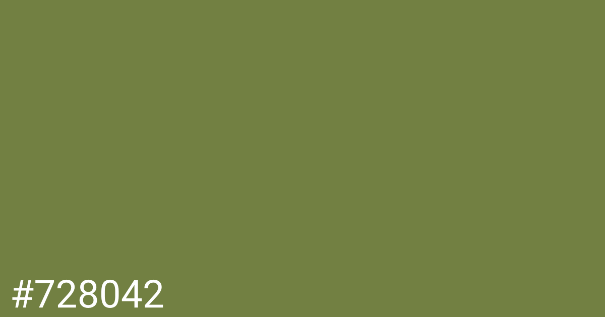 Hex color #728042 graphic