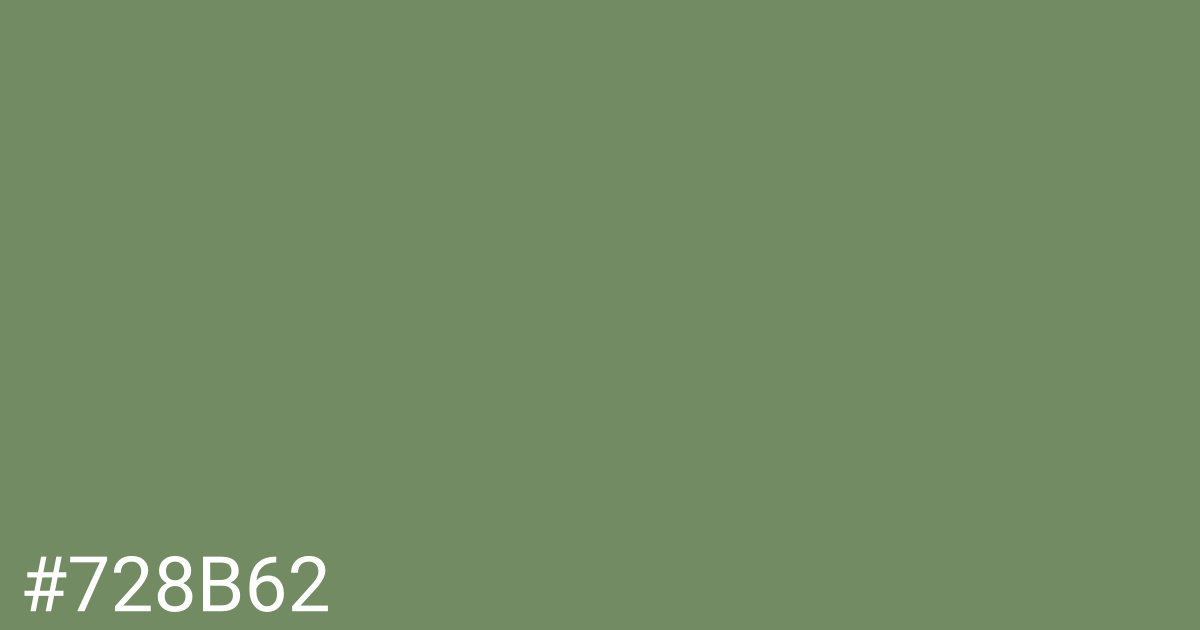 Hex color #728b62 graphic