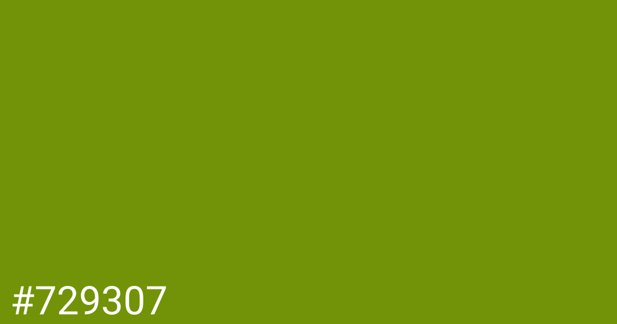 Hex color #729307 graphic