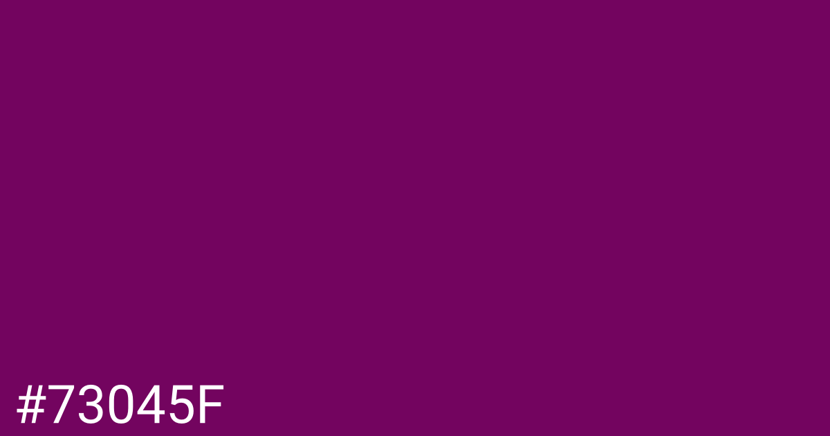 Hex color #73045f graphic