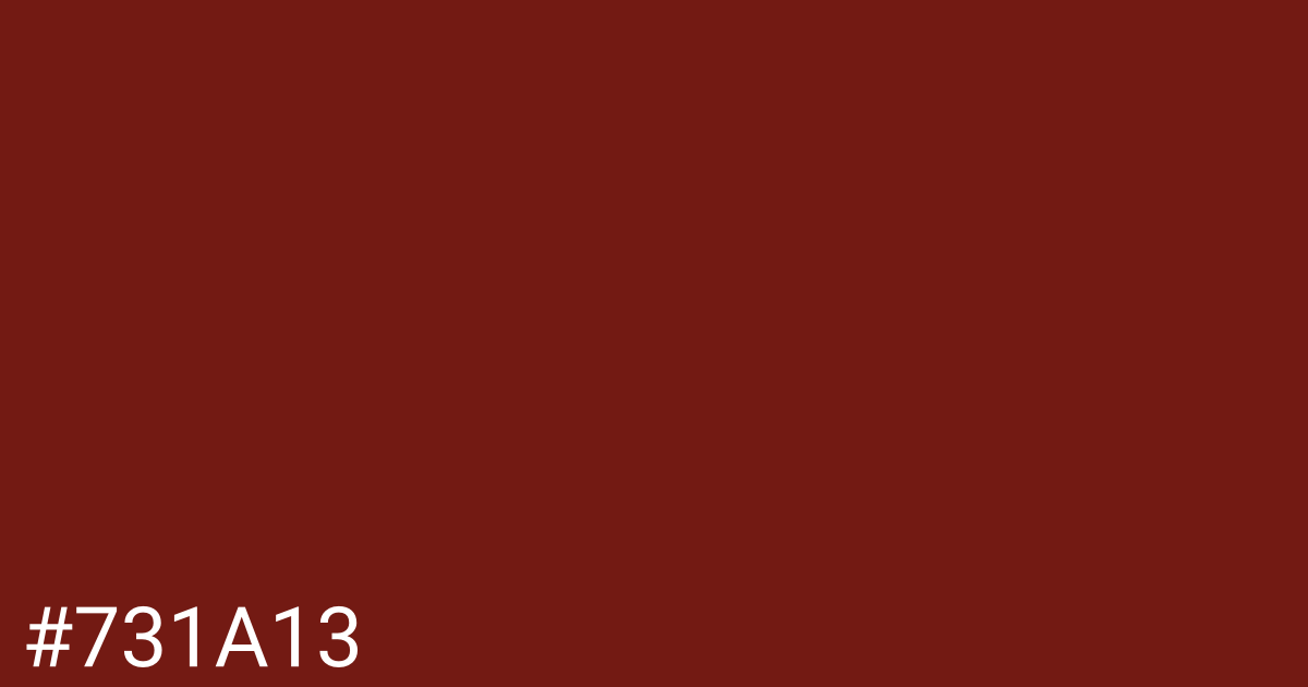 Hex color #731a13 graphic