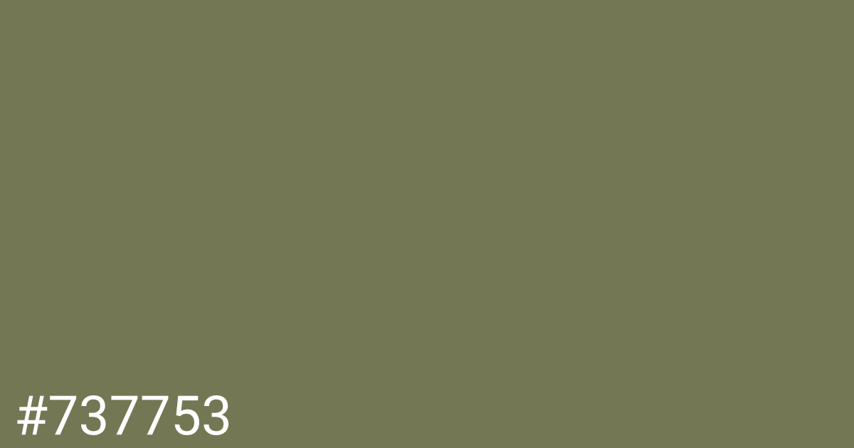 Hex color #737753 graphic