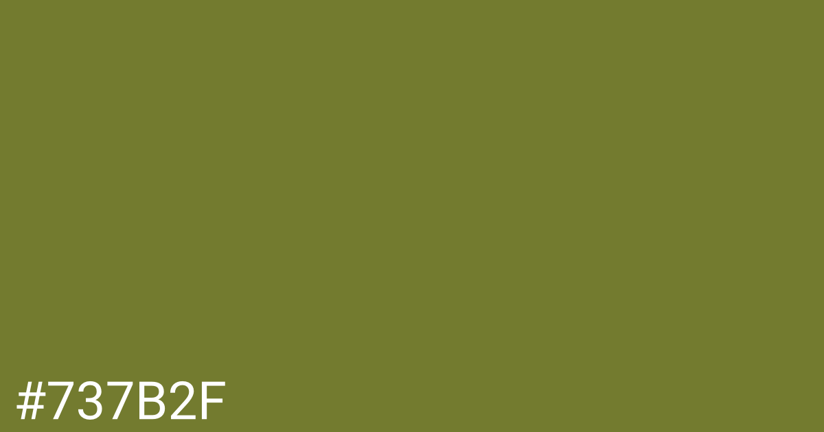 Hex color #737b2f graphic