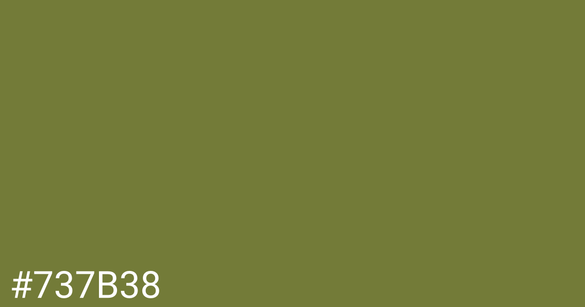 Hex color #737b38 graphic