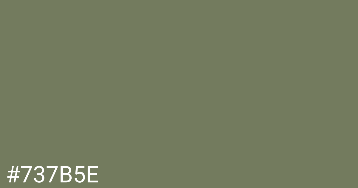 Hex color #737b5e graphic