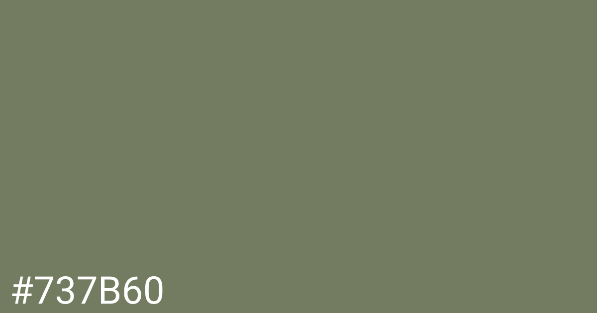 Hex color #737b60 graphic