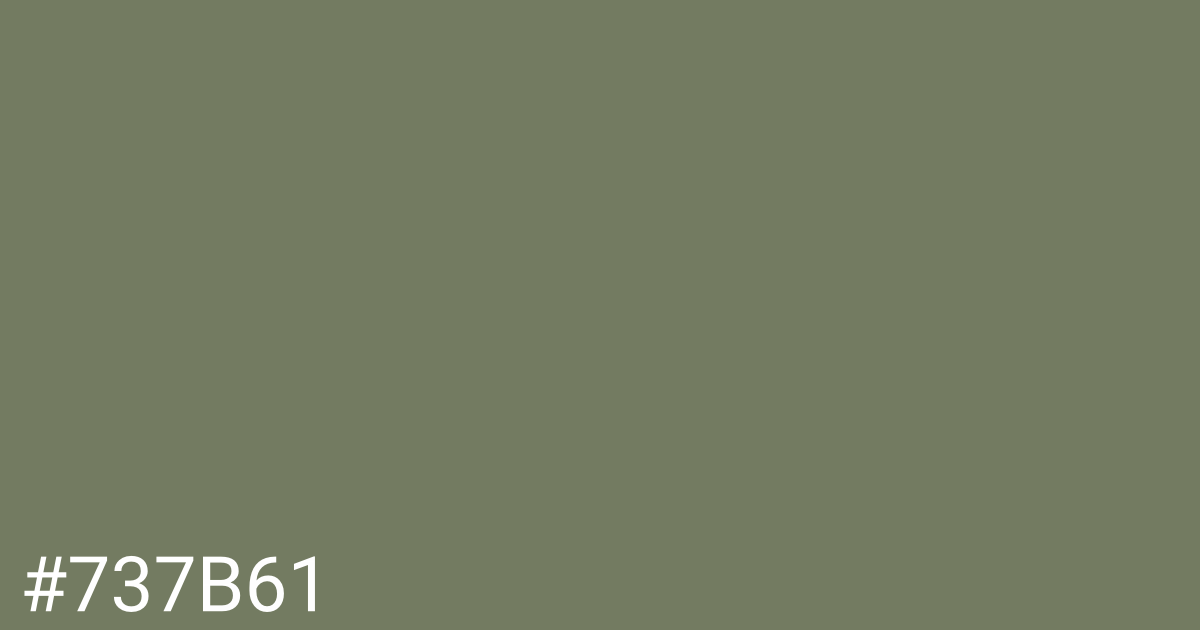 Hex color #737b61 graphic