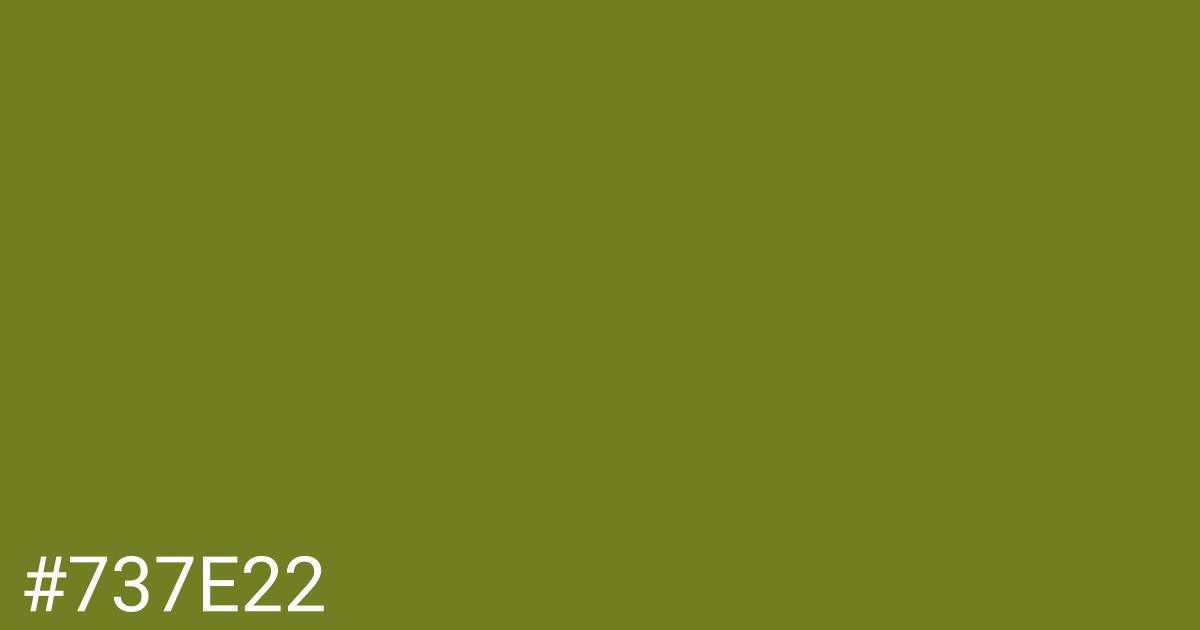 Hex color #737e22 graphic