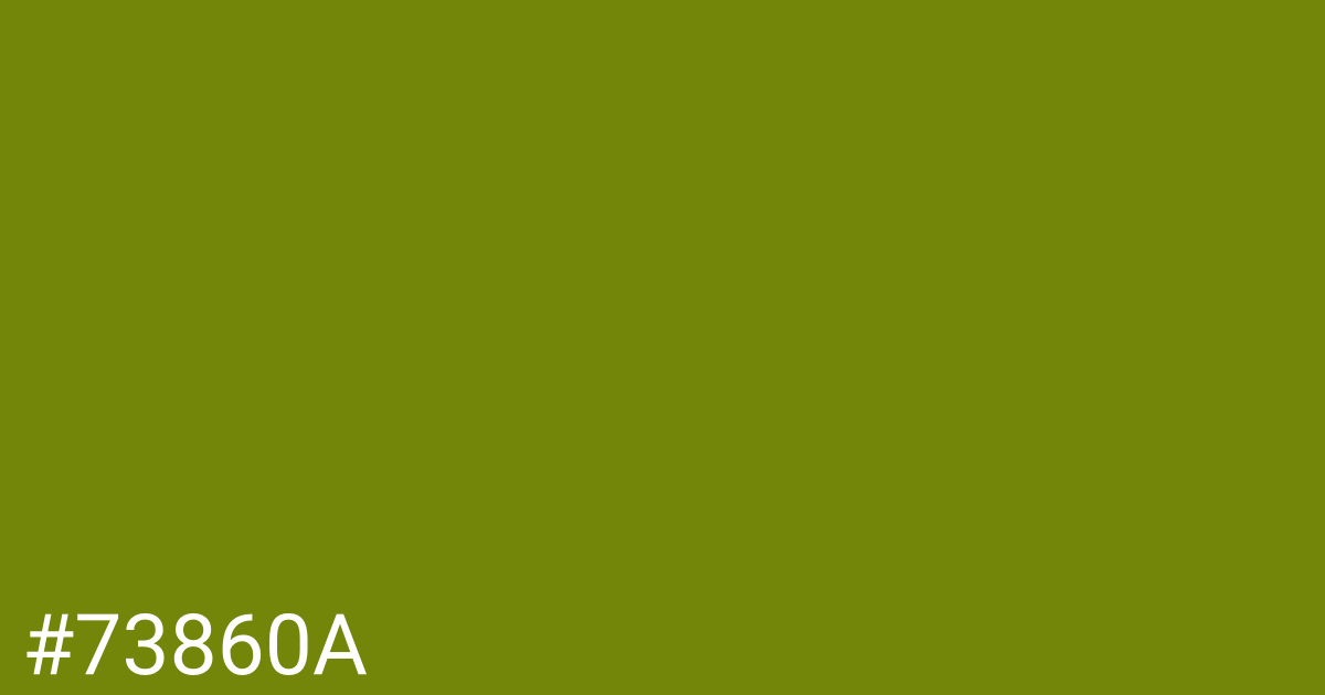 Hex color #73860a graphic