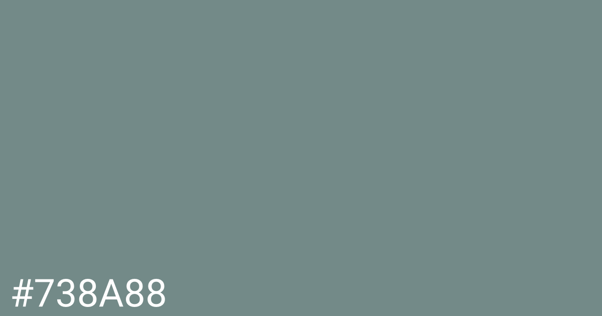 Hex color #738a88 graphic