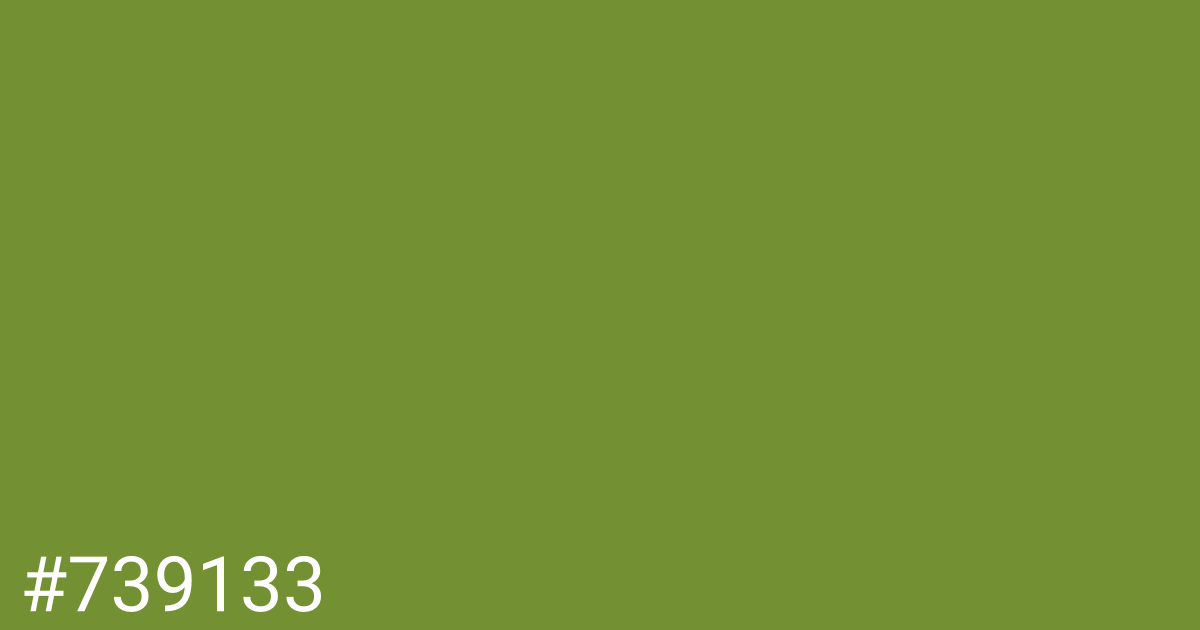 Hex color #739133 graphic