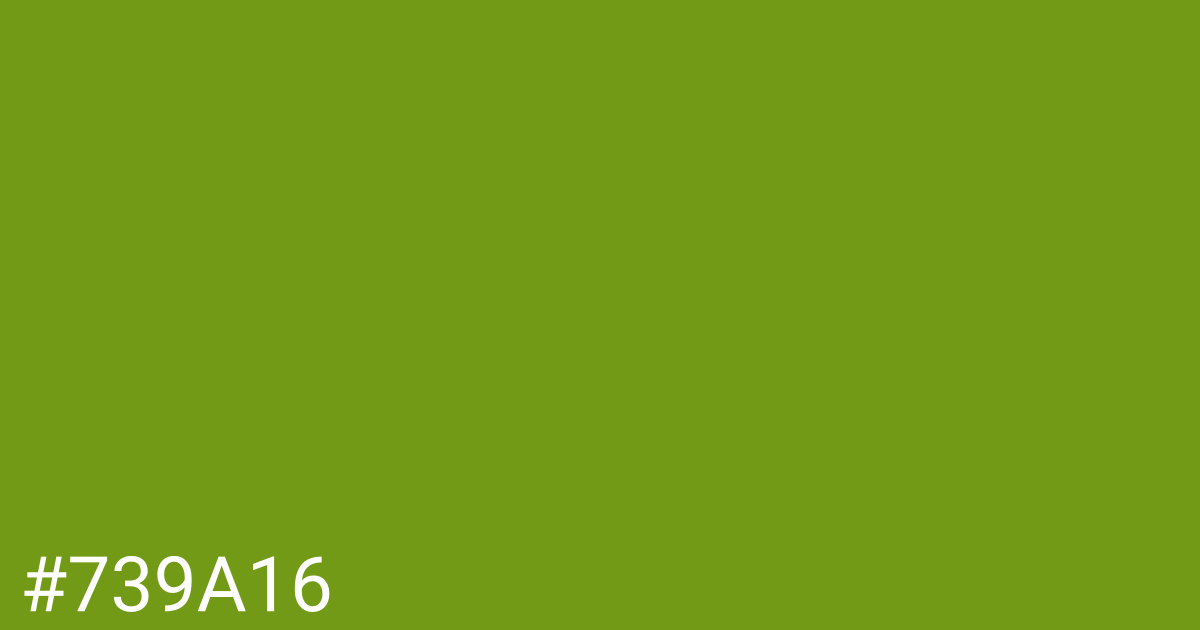 Hex color #739a16 graphic