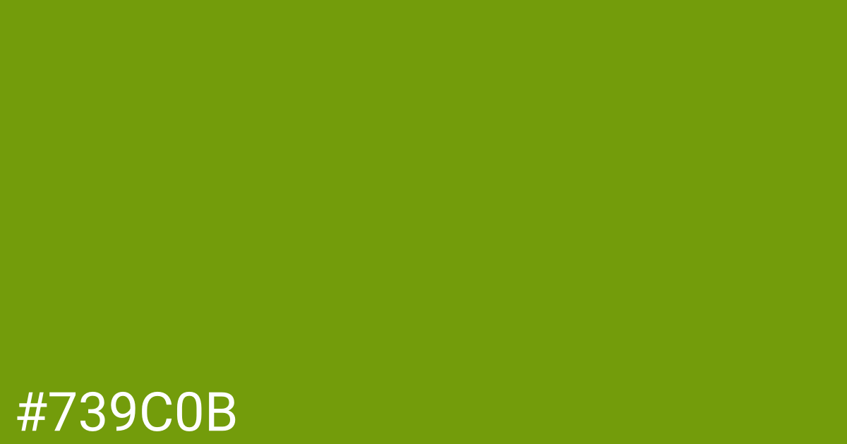 Hex color #739c0b graphic
