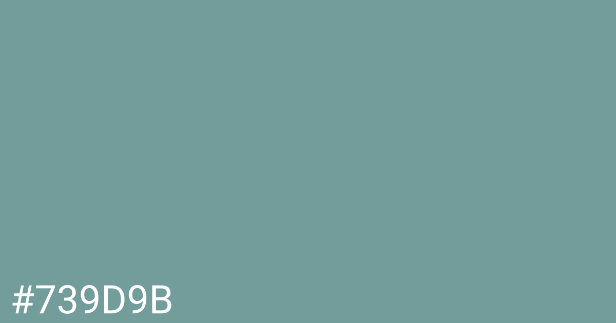 Hex color #739d9b graphic