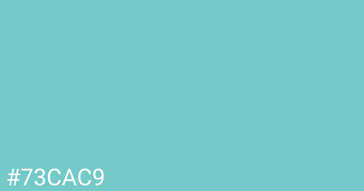 Hex color #73cac9 graphic