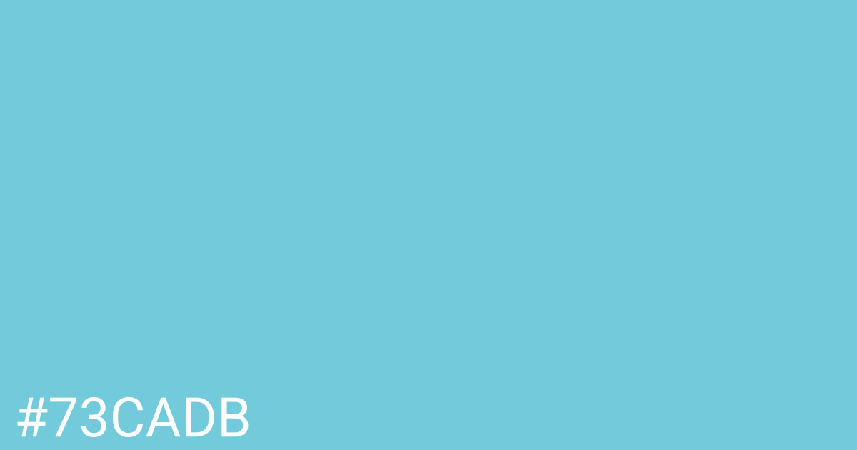 Hex color #73cadb graphic