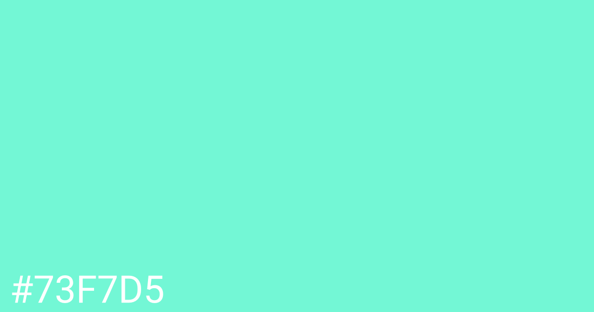 Hex color #73f7d5 graphic