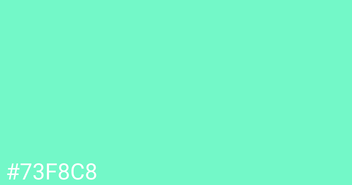 Hex color #73f8c8 graphic