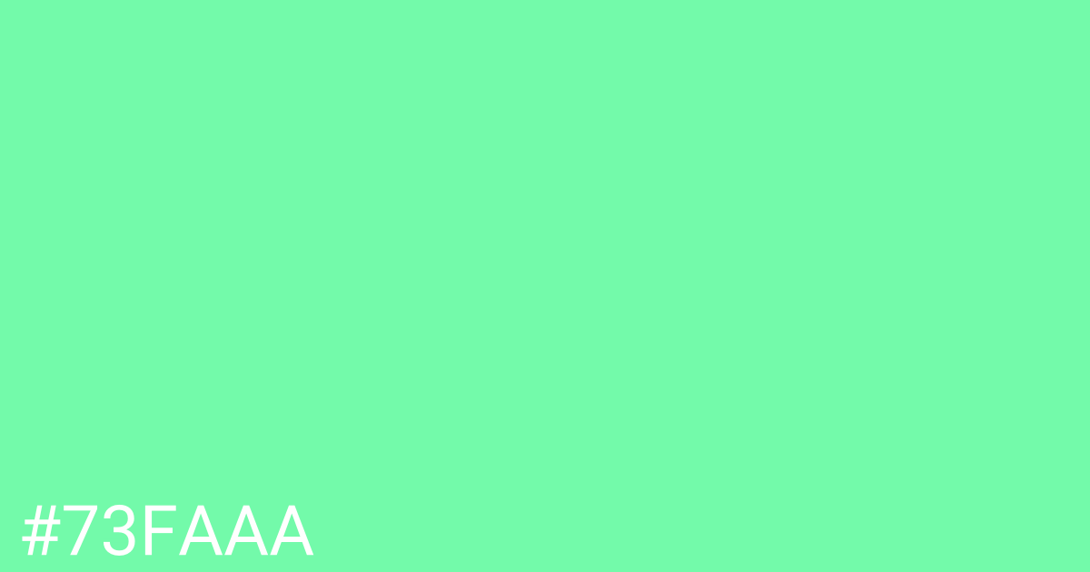 Hex color #73faaa graphic