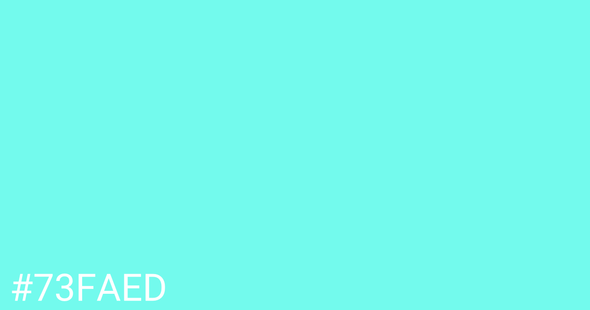 Hex color #73faed graphic