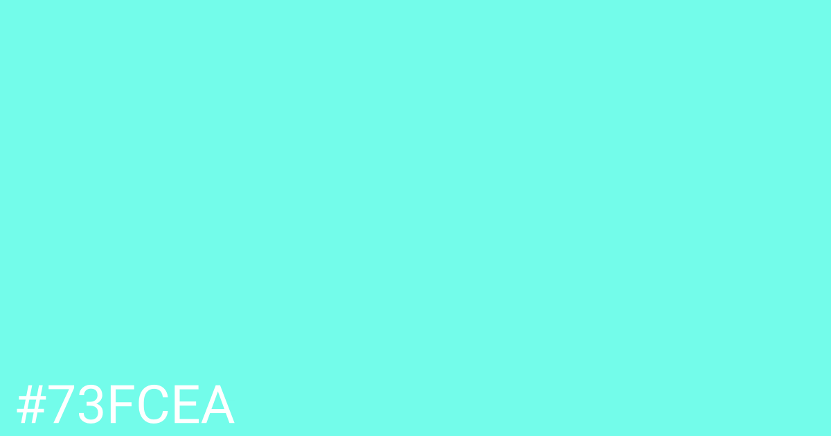 Hex color #73fcea graphic