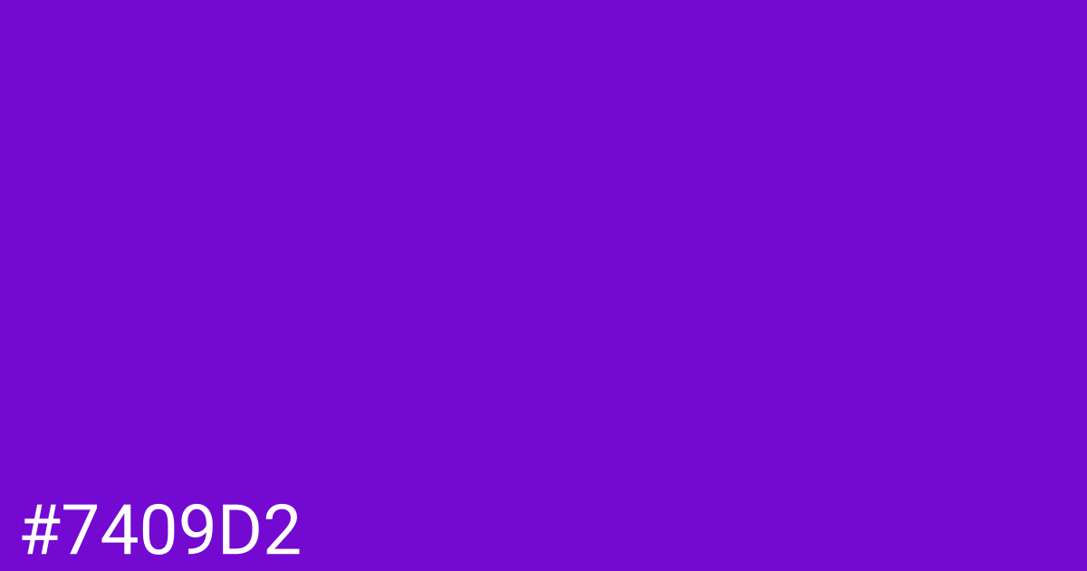 Hex color #7409d2 graphic