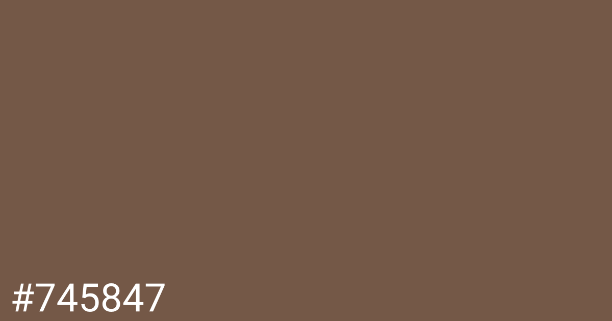 Hex color #745847 graphic