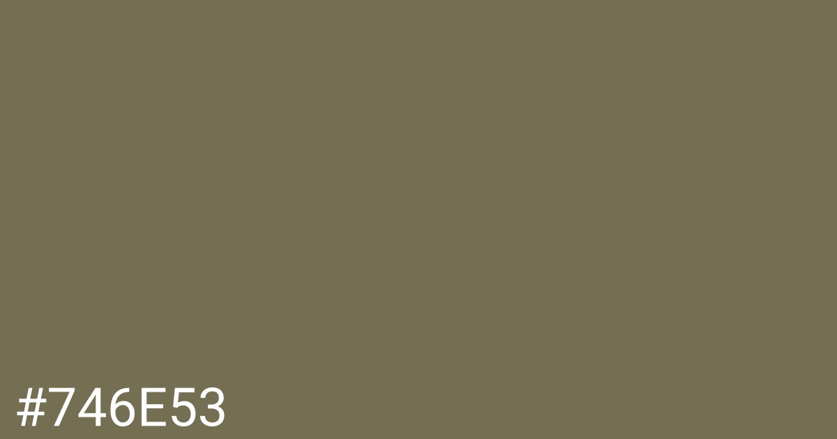 Hex color #746e53 graphic