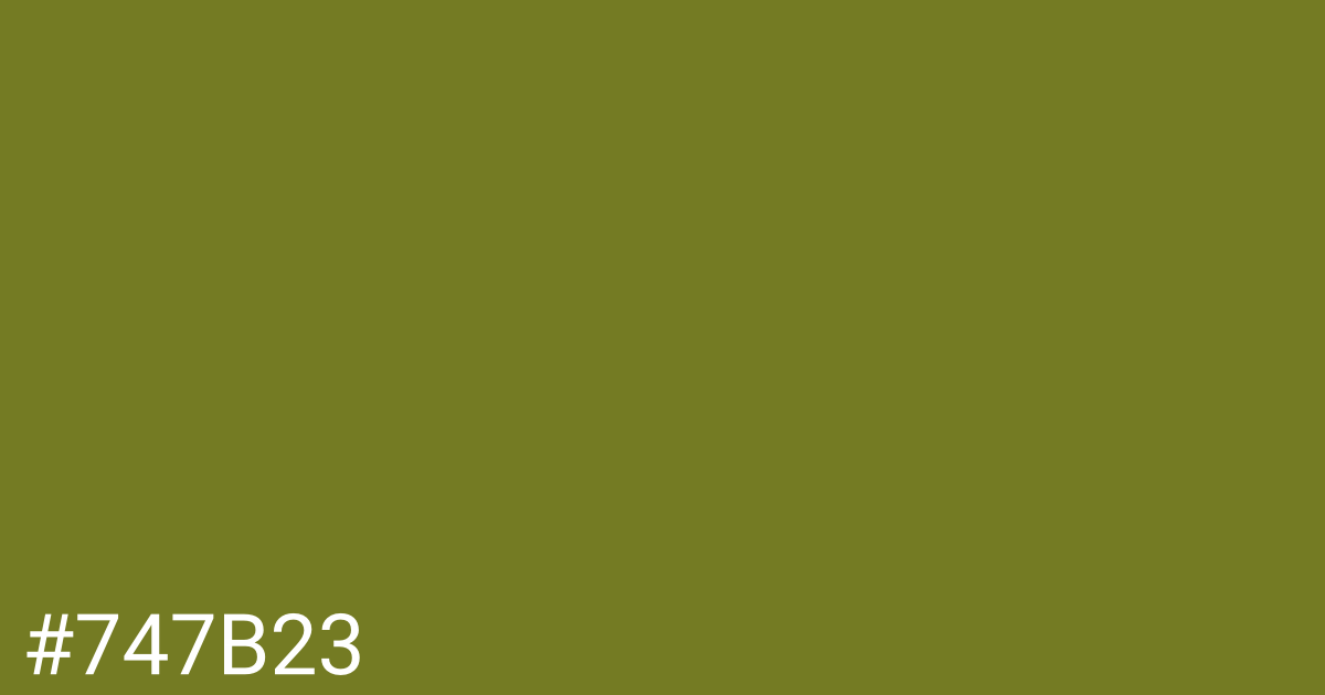 Hex color #747b23 graphic