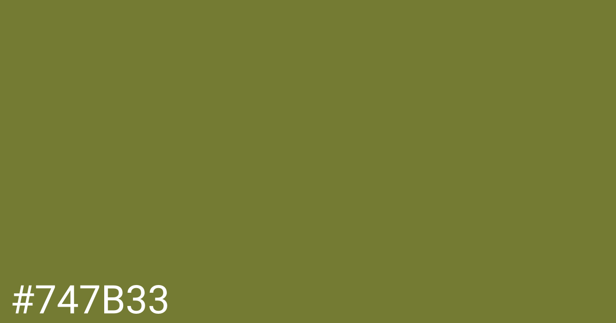 Hex color #747b33 graphic