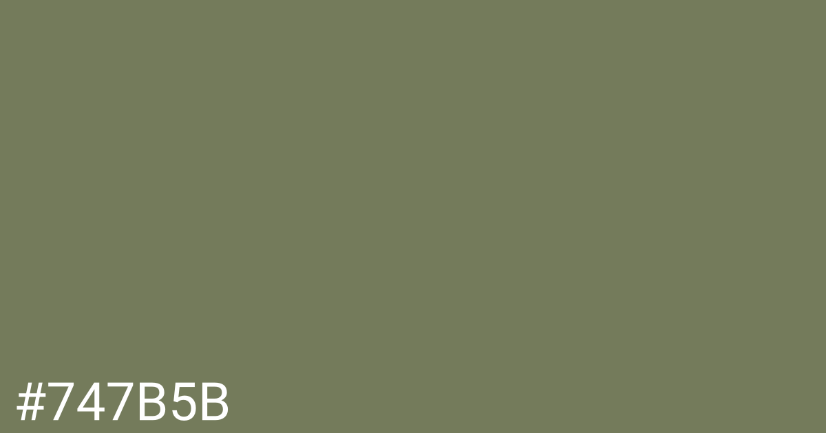 Hex color #747b5b graphic