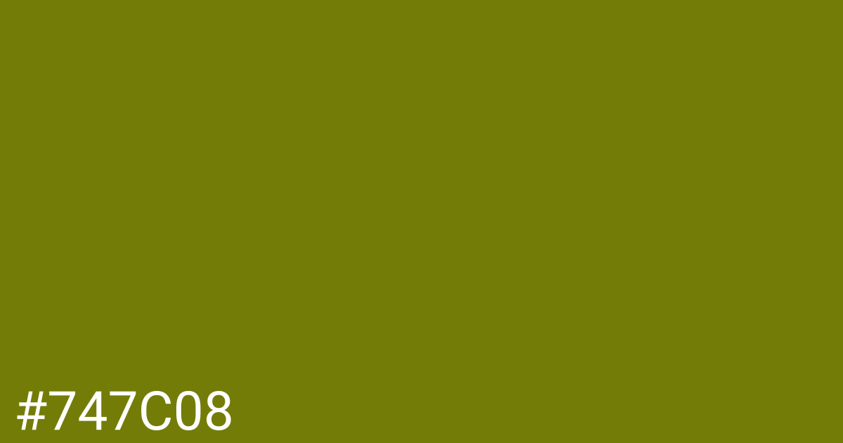 Hex color #747c08 graphic