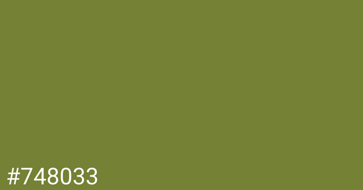 Hex color #748033 graphic