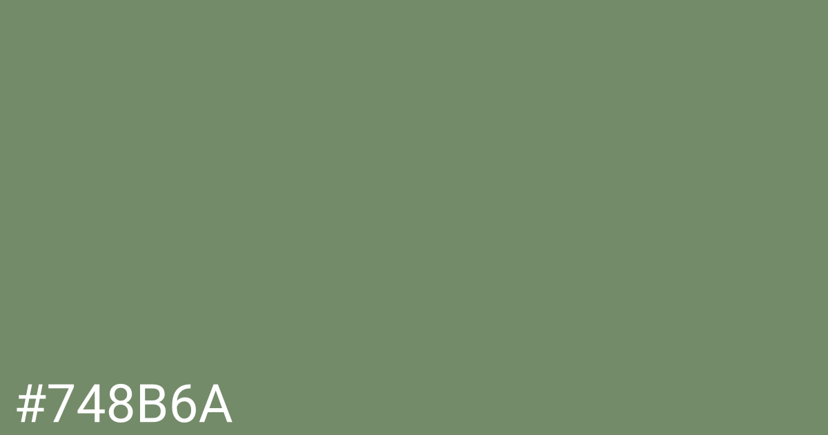Hex color #748b6a graphic
