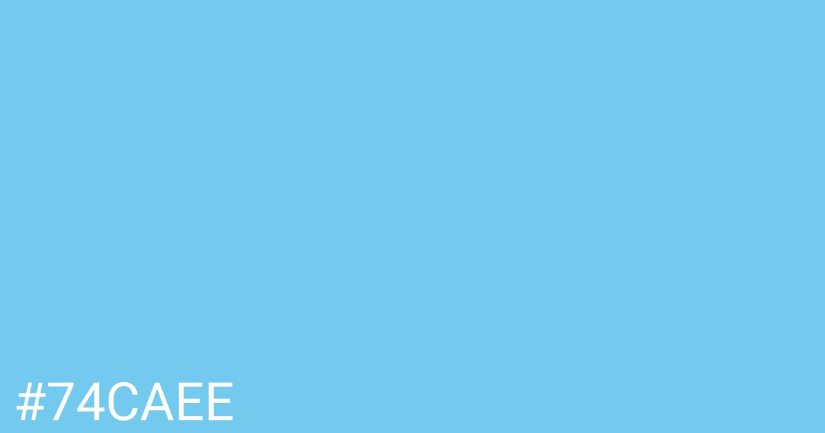Hex color #74caee graphic