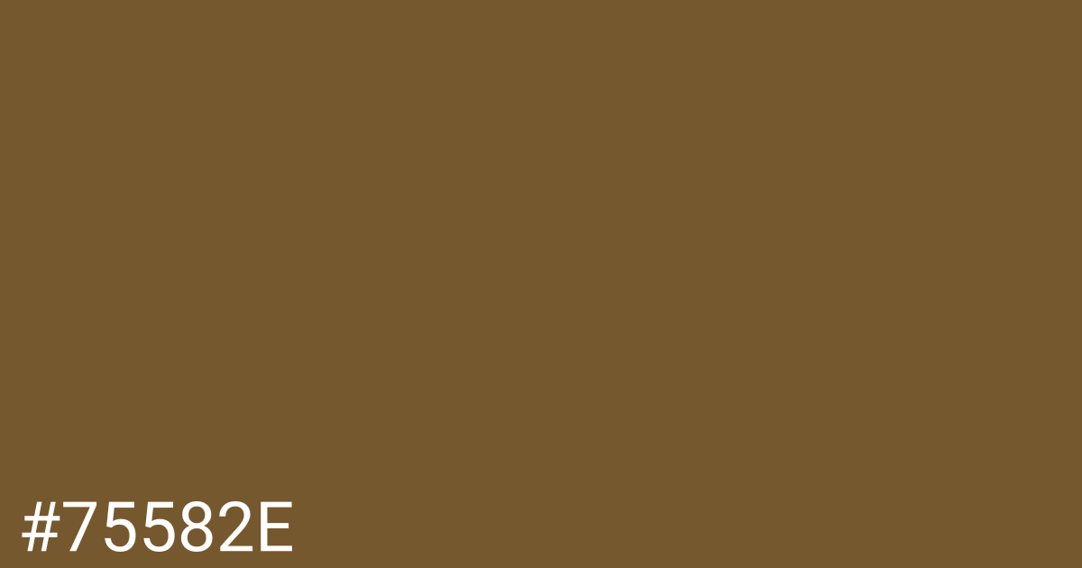 Hex color #75582e graphic