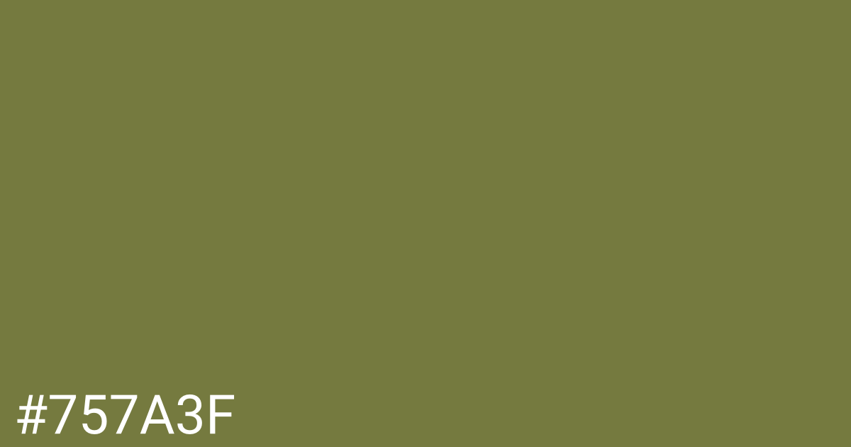 Hex color #757a3f graphic