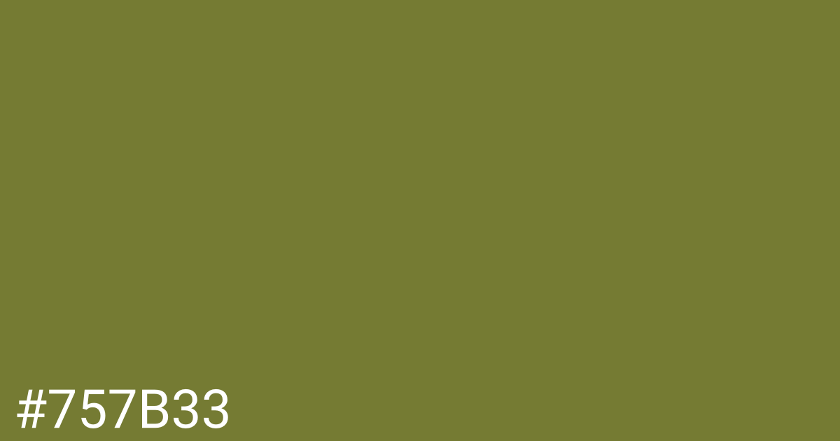 Hex color #757b33 graphic