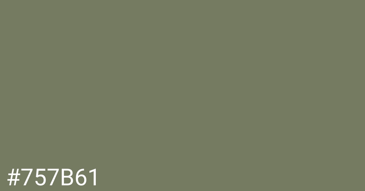 Hex color #757b61 graphic