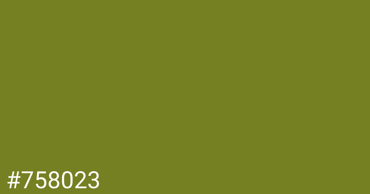 Hex color #758023 graphic