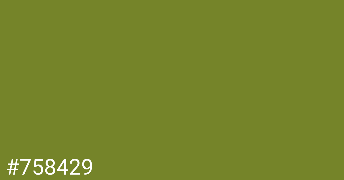 Hex color #758429 graphic