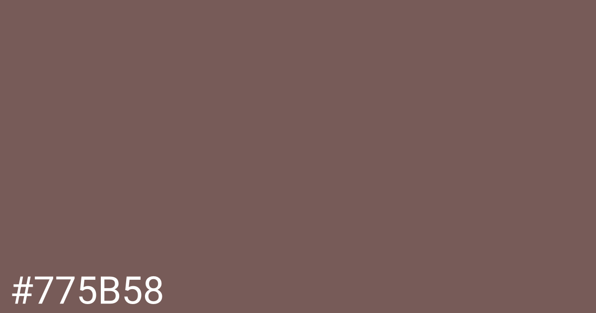 Hex color #775b58 graphic