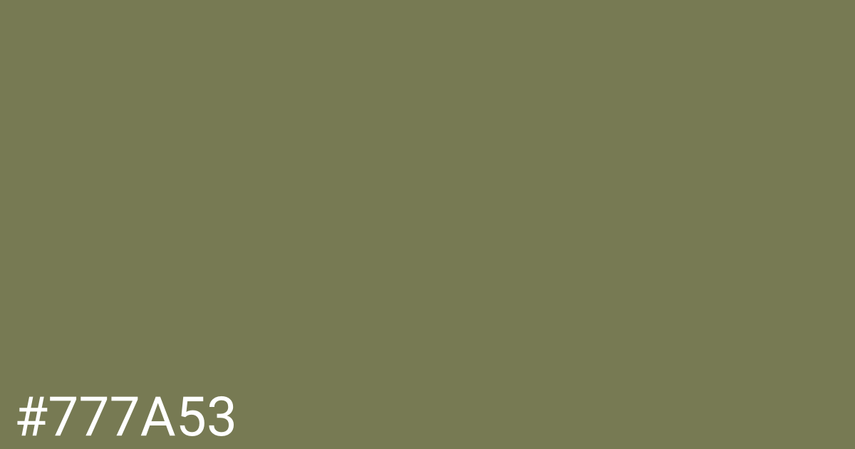 Hex color #777a53 graphic