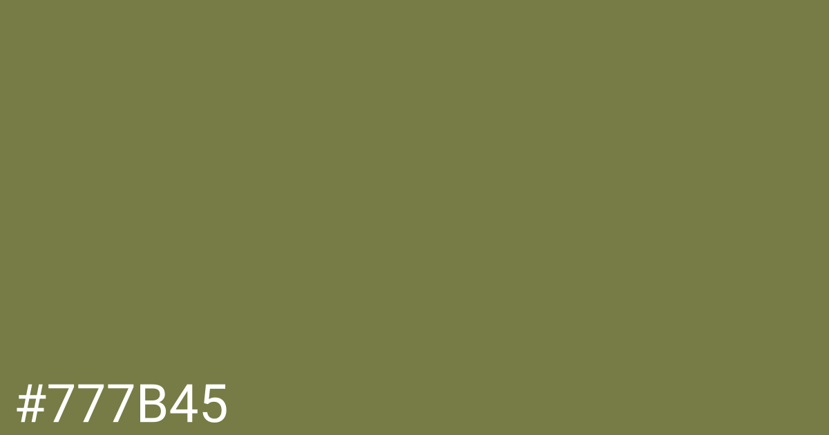 Hex color #777b45 graphic