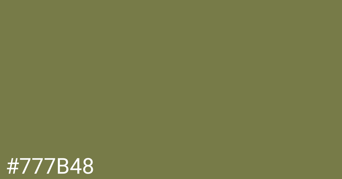 Hex color #777b48 graphic