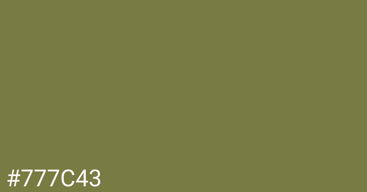 Hex color #777c43 graphic