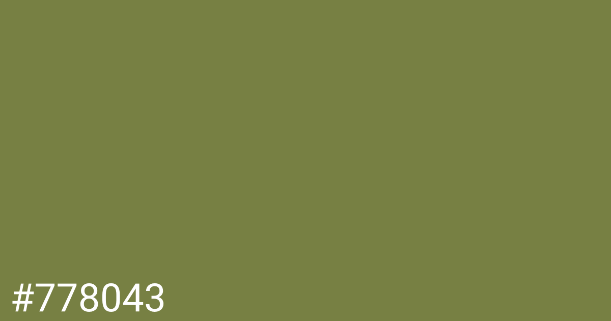 Hex color #778043 graphic