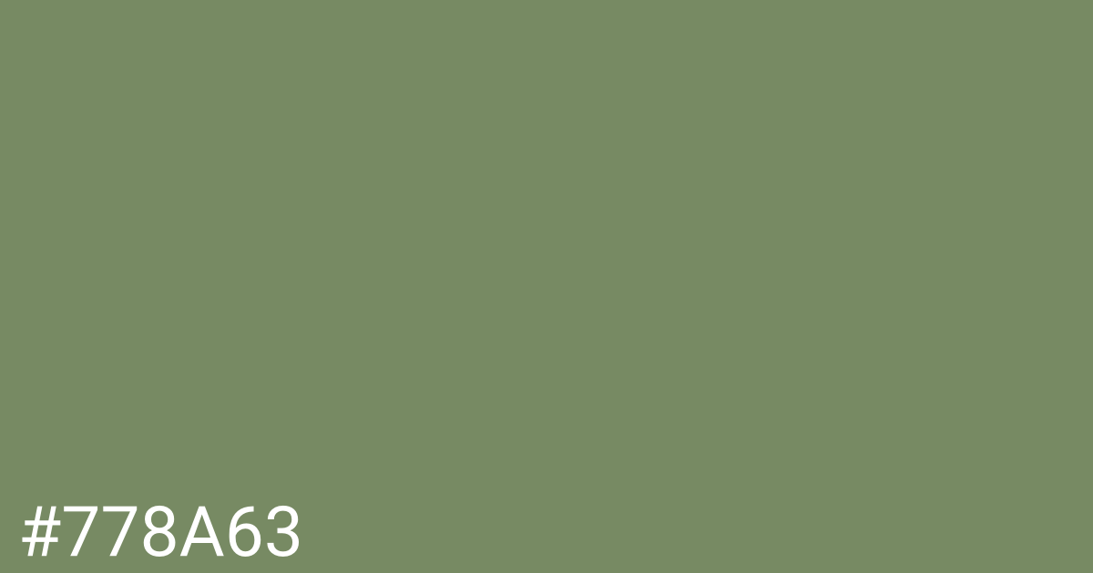 Hex color #778a63 graphic