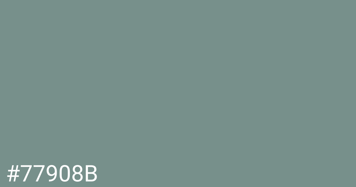 Hex color #77908b graphic