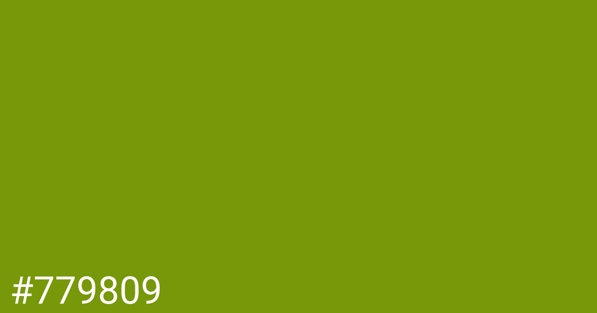 Hex color #779809 graphic
